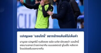 มานูเอล เปเญกรินี่