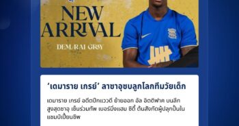 เดมาราย เกรย์